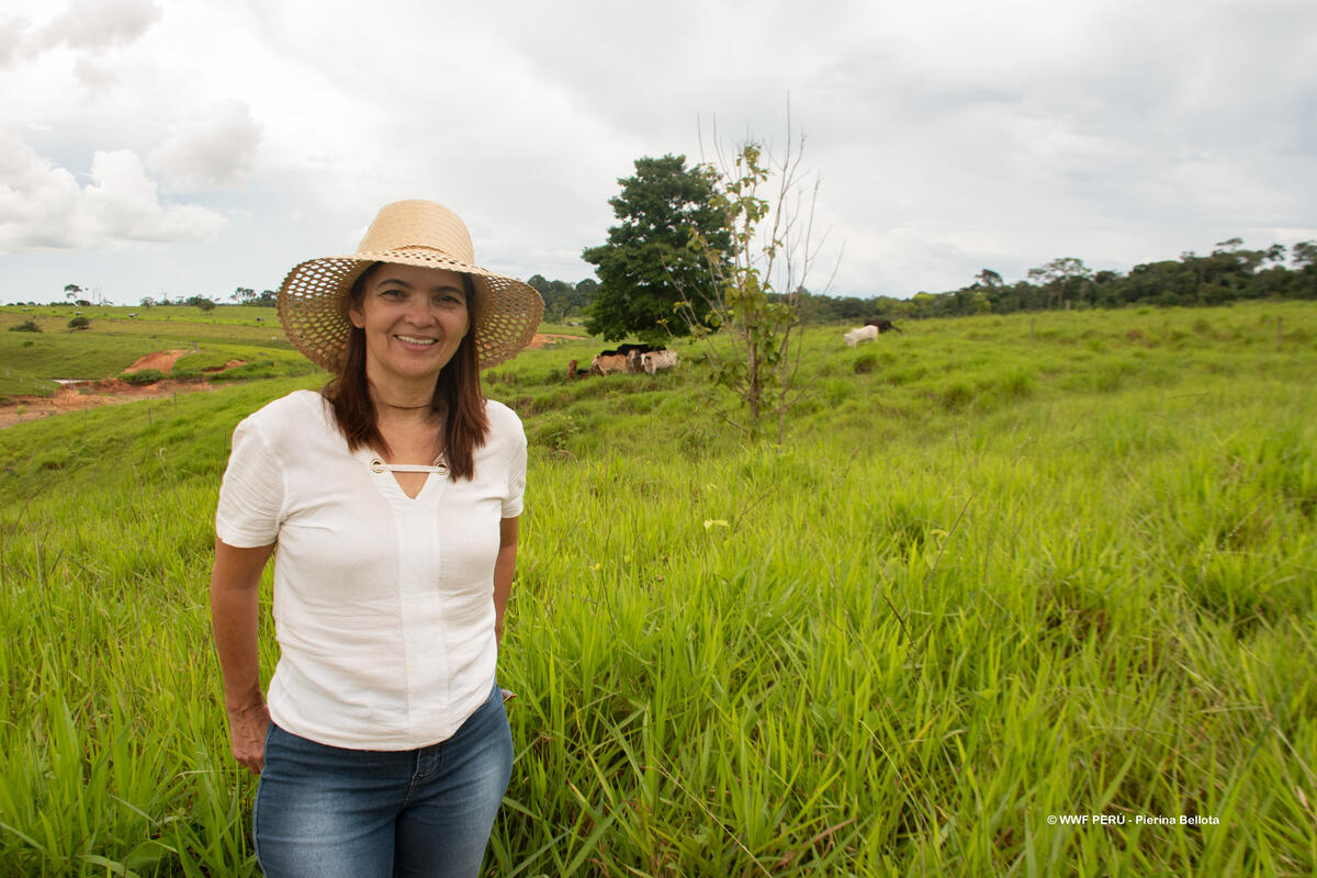 Beyond carbon credits: Implementing high-integrity NbS in the Southwest Amazon