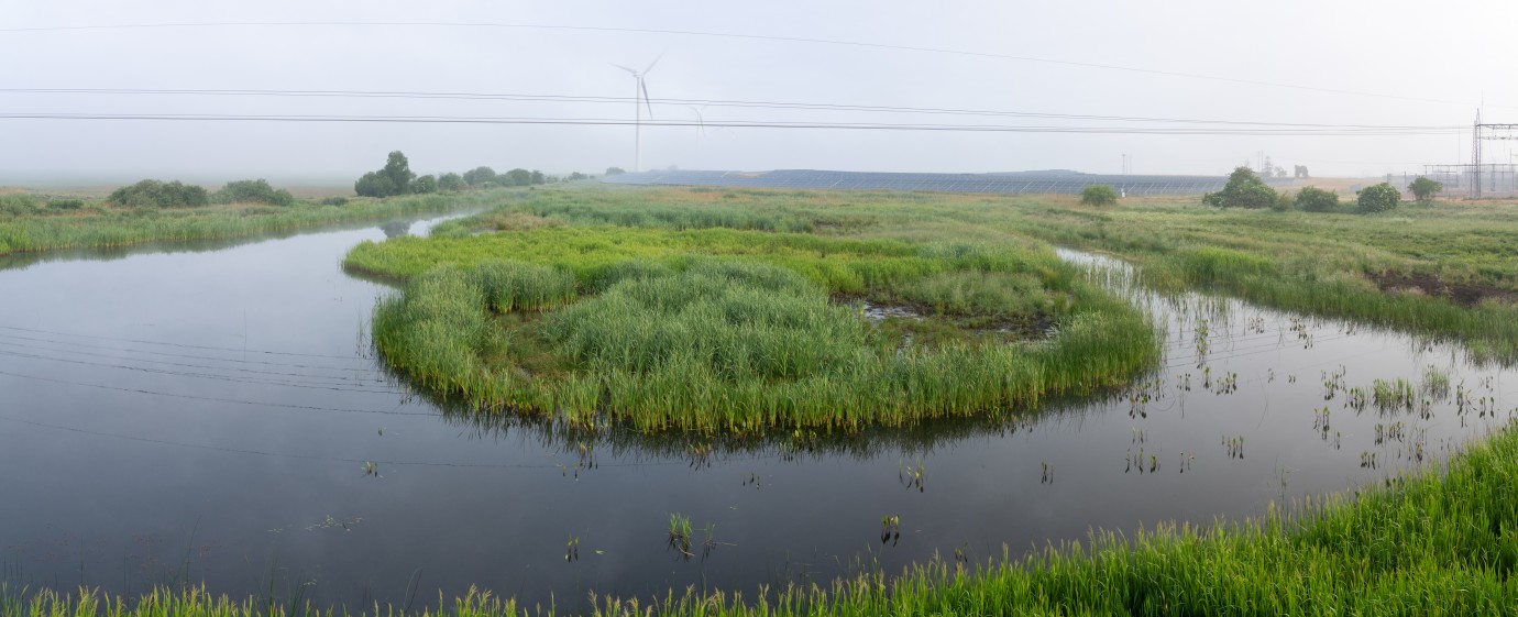 WWF at the 26th IUFRO World Congress 2024